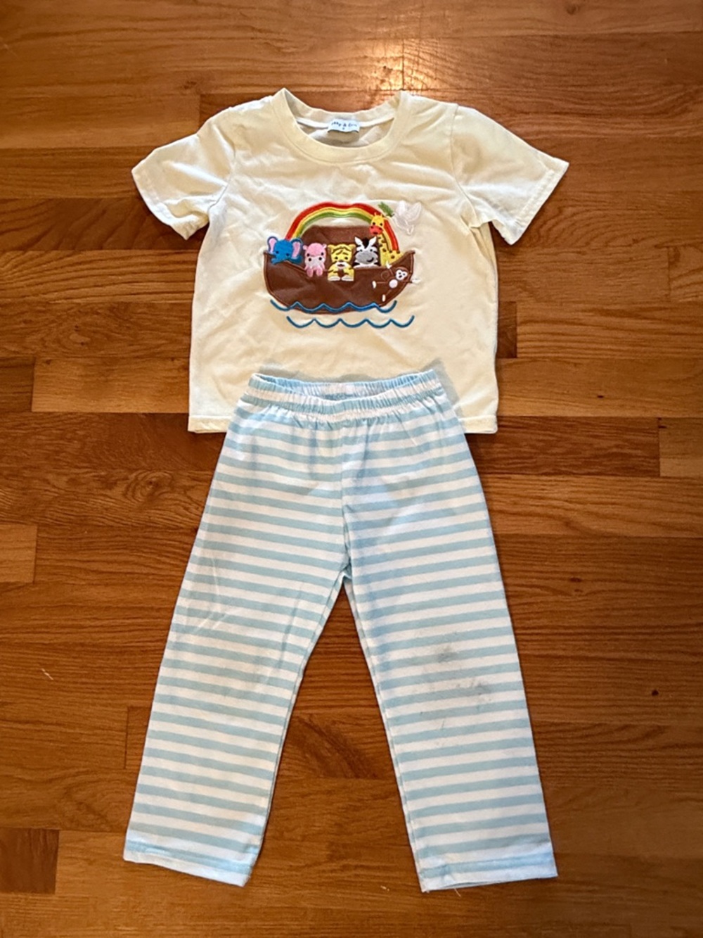 Noah’s Ark Shirt